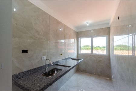 Apartamento para alugar com 46m², 2 quartos e sem vagaCozinha