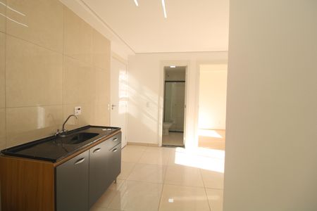 Apartamento para alugar com 35m², 2 quartos e sem vagaCozinha