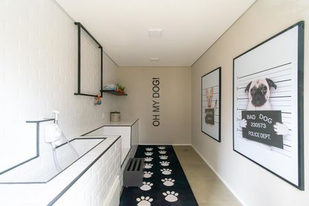 Apartamento para alugar com 27m², 1 quarto e sem vaga Apartamento para alugar com 27m², 1 quarto e sem vagaÁrea comum - Dog Shower