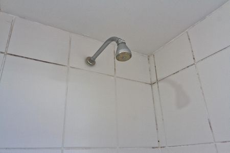 Apartamento à venda com 49m², 2 quartos e 1 vagaBanheiro
