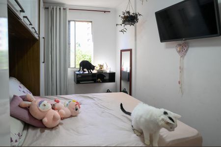 Apartamento à venda com 54m², 2 quartos e 1 vagaQuarto 1