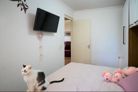 Apartamento à venda com 54m², 2 quartos e 1 vagaQuarto 1