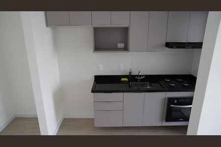Apartamento para alugar com 47m², 2 quartos e 1 vagaCozinha - Armários