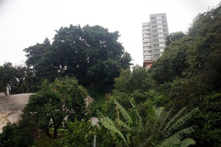 Sala Vista de apartamento à venda com 3 quartos, 76m² em Rio Branco, Porto Alegre