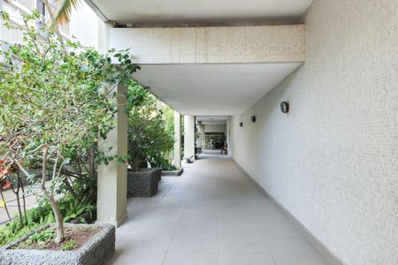 Apartamento para alugar com 62m², 3 quartos e sem vagaÁrea Comum 