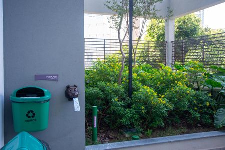 Studio para alugar com 25m², 1 quarto e sem vagaAREA PET
