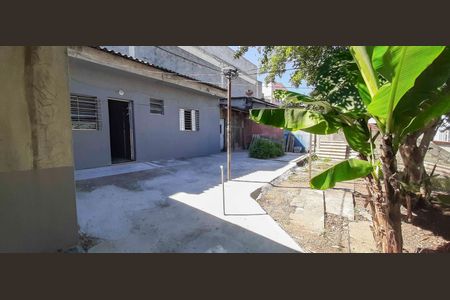 Casa para alugar com 45m², 1 quarto e sem vagaQuintal