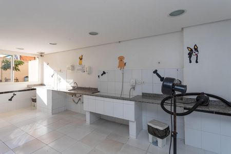 Apartamento à venda com 50m², 2 quartos e 1 vagaBanho e tosa - Pet care 