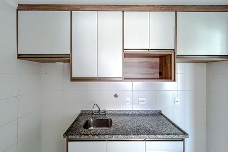 Apartamento para alugar com 49m², 1 quarto e 1 vagaCozinha - Armários