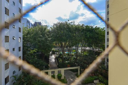 Vista da Sala de apartamento para alugar com 2 quartos, 56m² em Jardim Boa Vista, São Paulo