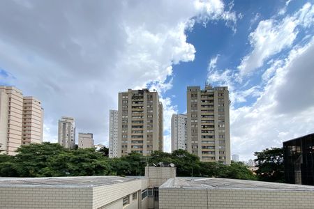 Vista da Sala de apartamento à venda com 3 quartos, 96m² em Santo Antônio, Belo Horizonte