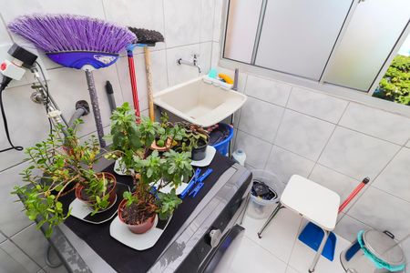 Apartamento à venda com 57m², 3 quartos e 1 vagaCozinha e Área de Serviço