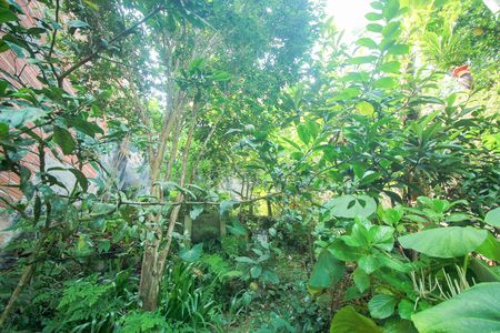 Quintal de casa à venda com 6 quartos, 384m² em Recreio da Borda do Campo, Santo André