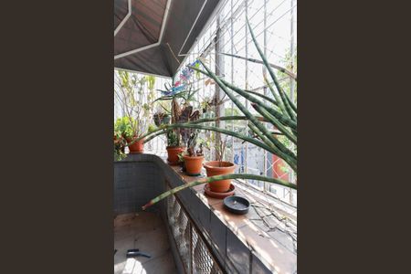 Apartamento para alugar com 55m², 2 quartos e sem vagaSacada