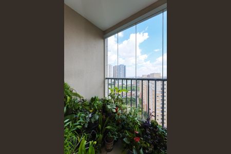 Varanda da Sala de apartamento para alugar com 2 quartos, 58m² em Parque Reboucas, São Paulo