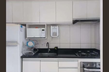 Cozinha de apartamento para alugar com 1 quarto, 52m² em Americanópolis, São Paulo