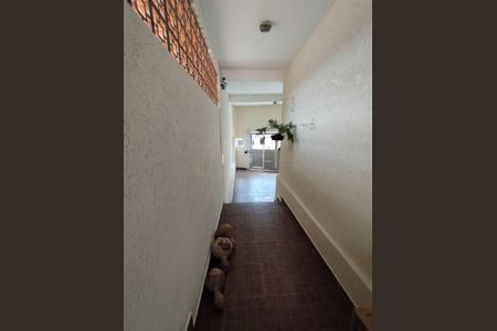Casa para alugar com 280m², 4 quartos e 2 vagasFoto 32