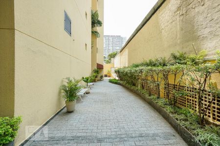 Apartamento para alugar com 38m², 1 quarto e 1 vagaÁrea comum