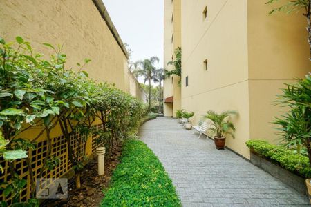 Apartamento para alugar com 38m², 1 quarto e 1 vagaÁrea comum