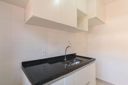 Apartamento para alugar com 43m², 1 quarto e sem vagaCozinha