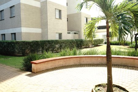 Apartamento para alugar com 53m², 2 quartos e 1 vagaÁrea comum