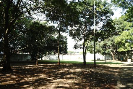 Apartamento para alugar com 53m², 2 quartos e 1 vagaÁrea comum - Pet