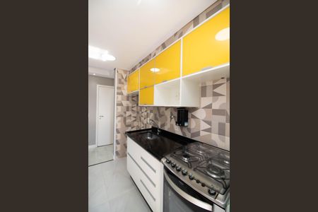 Apartamento para alugar com 67m², 2 quartos e 1 vagaCozinha - Armários