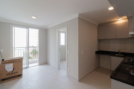 Sala - Cozinha de apartamento para alugar com 2 quartos, 36m² em Jardim Peri Peri, São Paulo