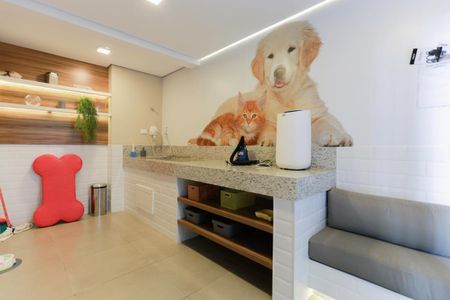 Apartamento para alugar com 29m², 1 quarto e sem vagaÁrea comum - Pet-care