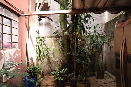 Casa à venda com 200m², 3 quartos e 3 vagasQuintal 2