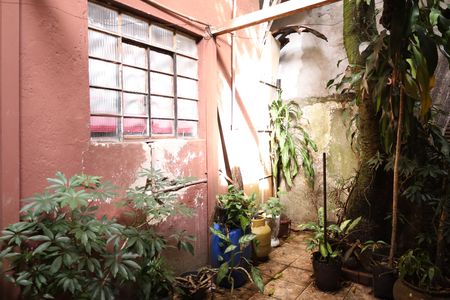 Casa à venda com 200m², 3 quartos e 3 vagasQuintal 2