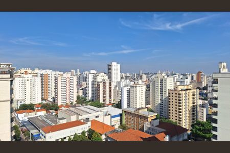 Apartamento para alugar com 237m², 3 quartos e 4 vagasVista