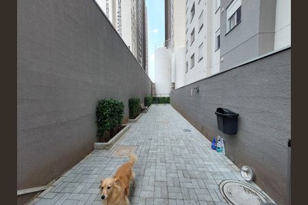 Apartamento para alugar com 33m², 2 quartos e sem vaga Apartamento para alugar com 33m², 2 quartos e sem vagaÁrea comum