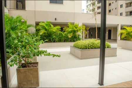 Apartamento para alugar com 68m², 3 quartos e 2 vagasÁrea comum