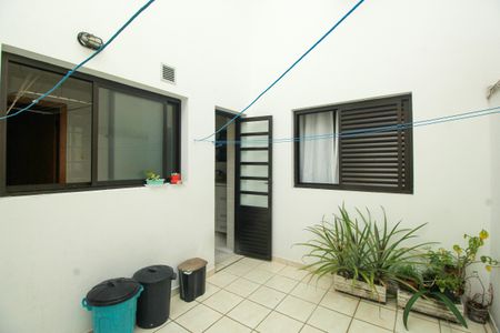 Apartamento para alugar com 119m², 3 quartos e 2 vagasQuintal