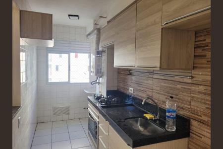 Cozinha de apartamento para alugar com 2 quartos, 47m² em Jardim Sao Miguel, Ferraz de Vasconcelos