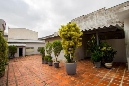 Casa para alugar com 360m², 3 quartos e 6 vagasQuintal
