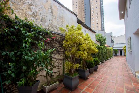 Casa para alugar com 360m², 3 quartos e 6 vagasCorredor externo