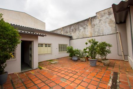 Casa para alugar com 360m², 3 quartos e 6 vagasQuintal