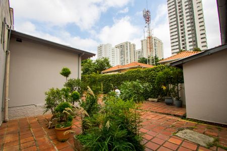 Casa para alugar com 360m², 3 quartos e 6 vagasQuintal