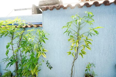 Vista do quarto 01 de casa à venda com 2 quartos, 200m² em Vila Matilde, São Paulo