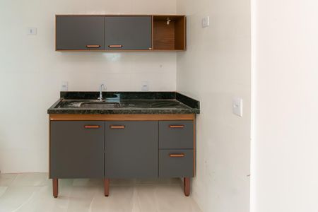 Apartamento para alugar com 46m², 1 quarto e sem vagaCozinha