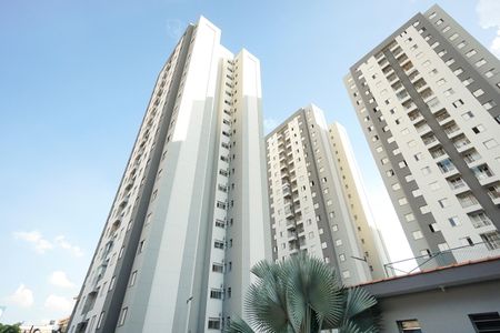 Apartamento à venda com 76m², 3 quartos e 1 vagaFachada
