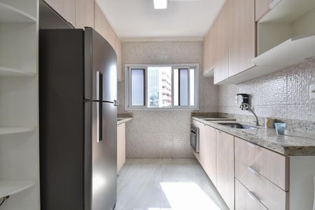 Apartamento para alugar com 30m², 2 quartos e sem vagaCozinha