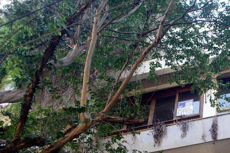 Apartamento para alugar com 470m², 4 quartos e 4 vagasPlaquinha