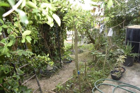 Casa para alugar com 120m², 1 quarto e 1 vagaQuintal