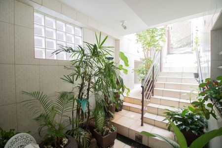 ÁREA DE SERVIÇO de casa à venda com 7 quartos, 300m² em Vila Romero, São Paulo