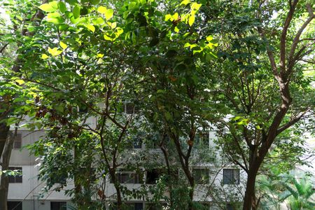 Vista da varanda de apartamento à venda com 2 quartos, 63m² em Santana, São Paulo