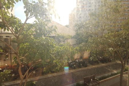 Apartamento para alugar com 2 quartos, 36m² em Cambuci, São Paulo