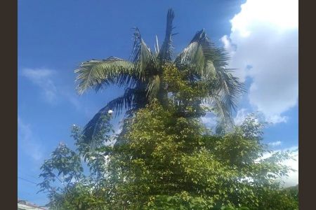 Casa à venda com 120m², 2 quartos e 2 vagas